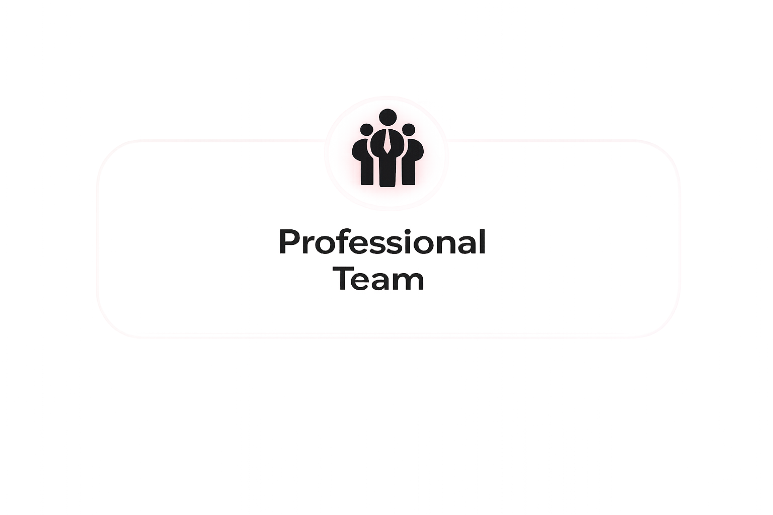 Professional Team