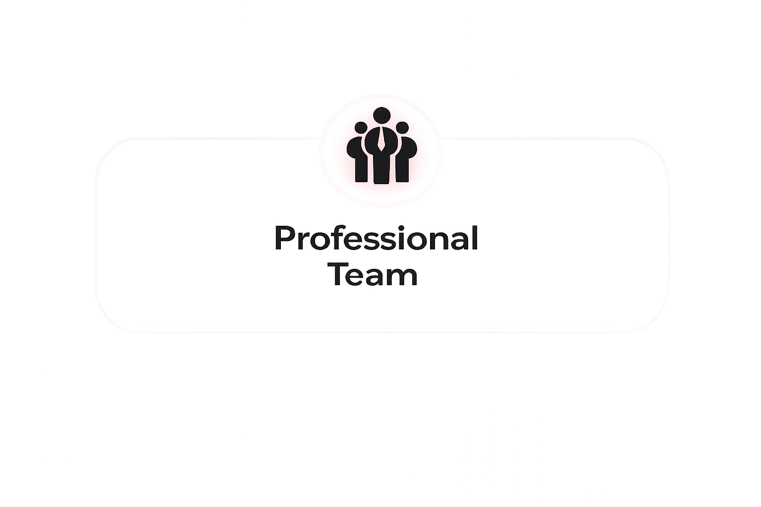 Professional Team