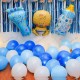 Blue Baby Boy Naming Ceremony Decor